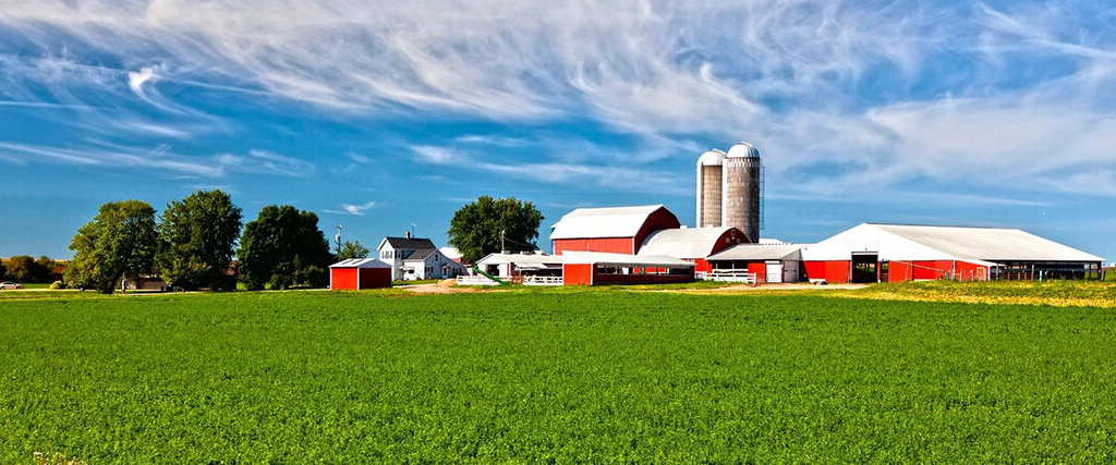 Green field with blue sky and a farm with red barns