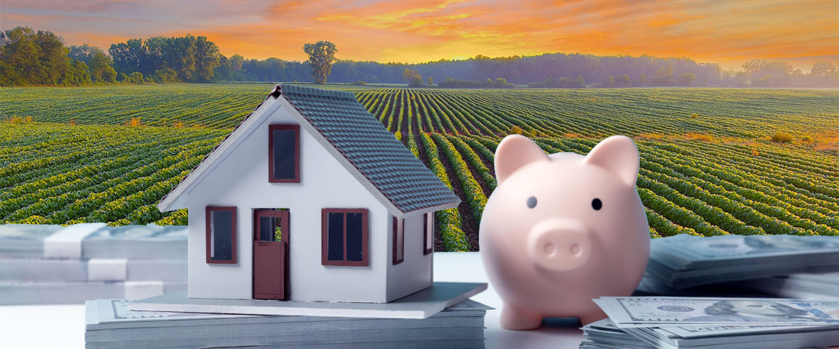 A miniature house model and piggybank surrounding by dollar bills against a Wisconsin farmland background.