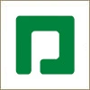 Paycom-Icon