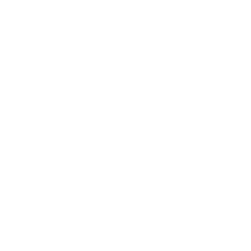 White CENTURY 21 C21 real estate logo with a stylized “C” encircling the number 21.